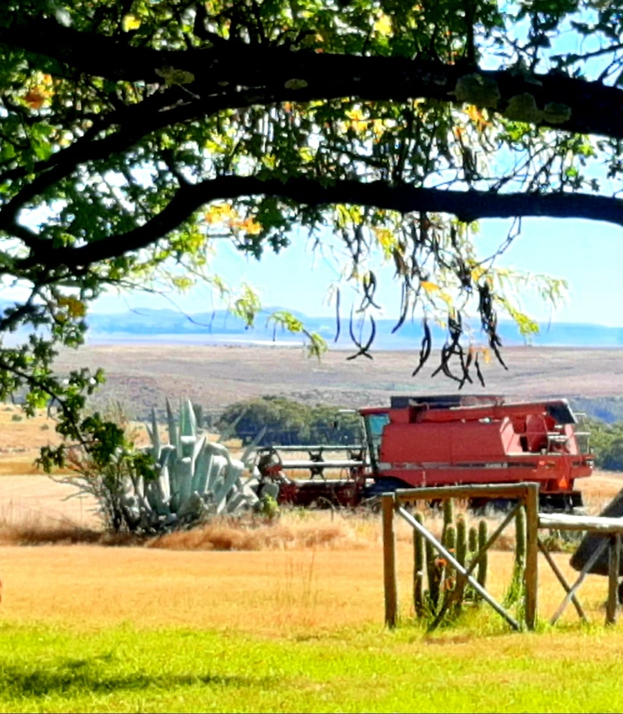 9 Bedroom Property for Sale in Fouriesburg Free State